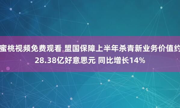 蜜桃视频免费观看 盟国保障上半年杀青新业务价值约28.38亿好意思元 同比增长14%
